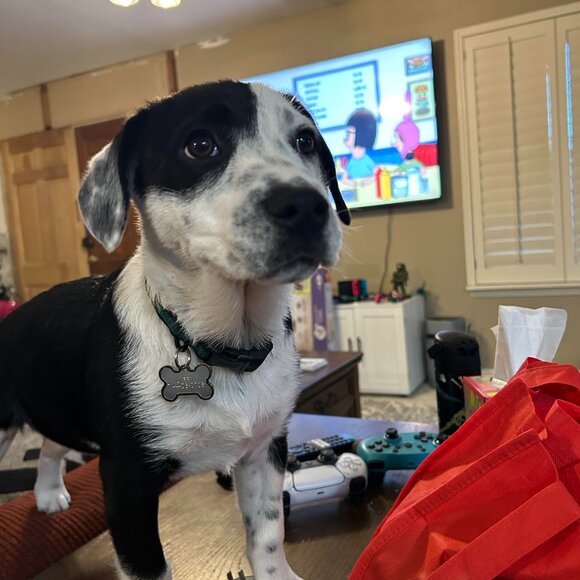 LIVE Retail Therapy - Send 2 - No theme - Picture 9 of 10